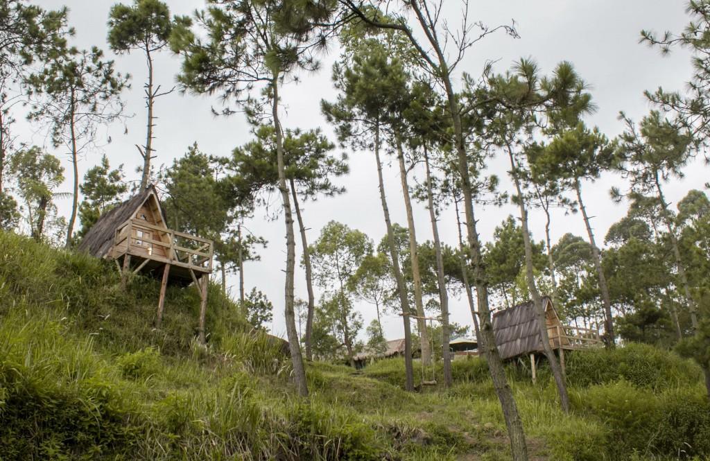 Cileuleuy Papandayan Camping Ground酒店 外观 照片