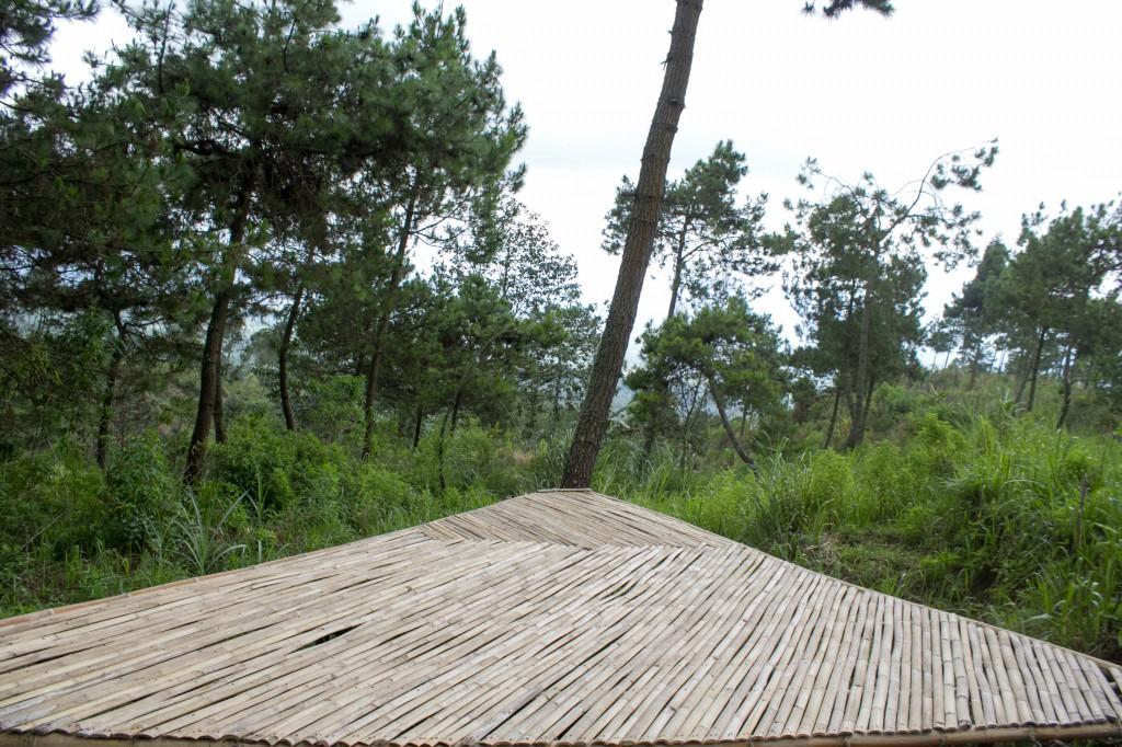 Cileuleuy Papandayan Camping Ground酒店 外观 照片