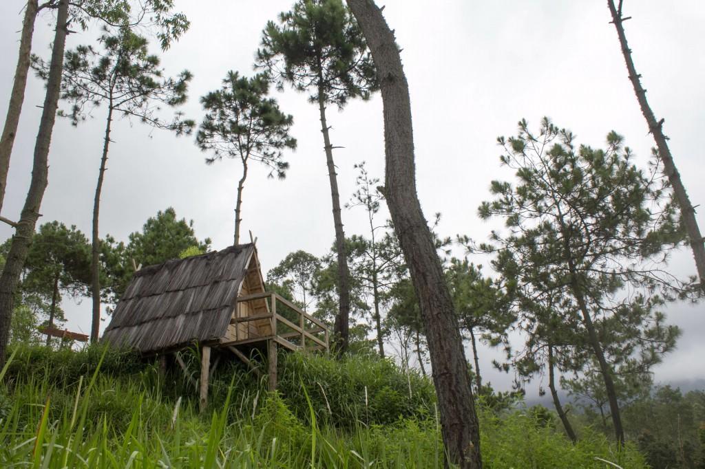Cileuleuy Papandayan Camping Ground酒店 外观 照片