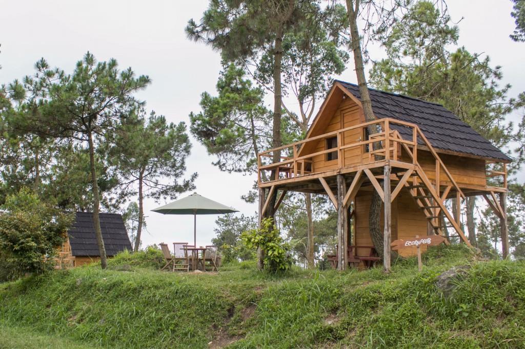 Cileuleuy Papandayan Camping Ground酒店 外观 照片