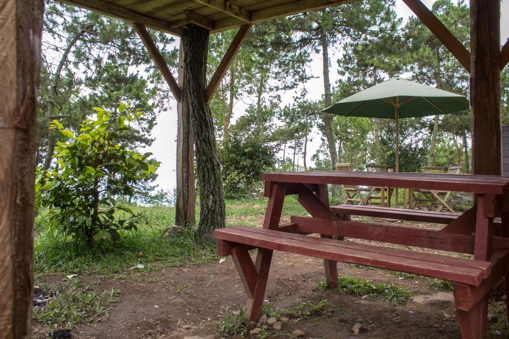 Cileuleuy Papandayan Camping Ground酒店 外观 照片