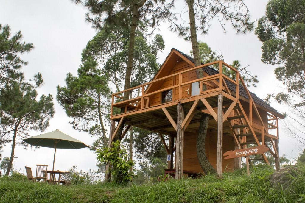 Cileuleuy Papandayan Camping Ground酒店 外观 照片