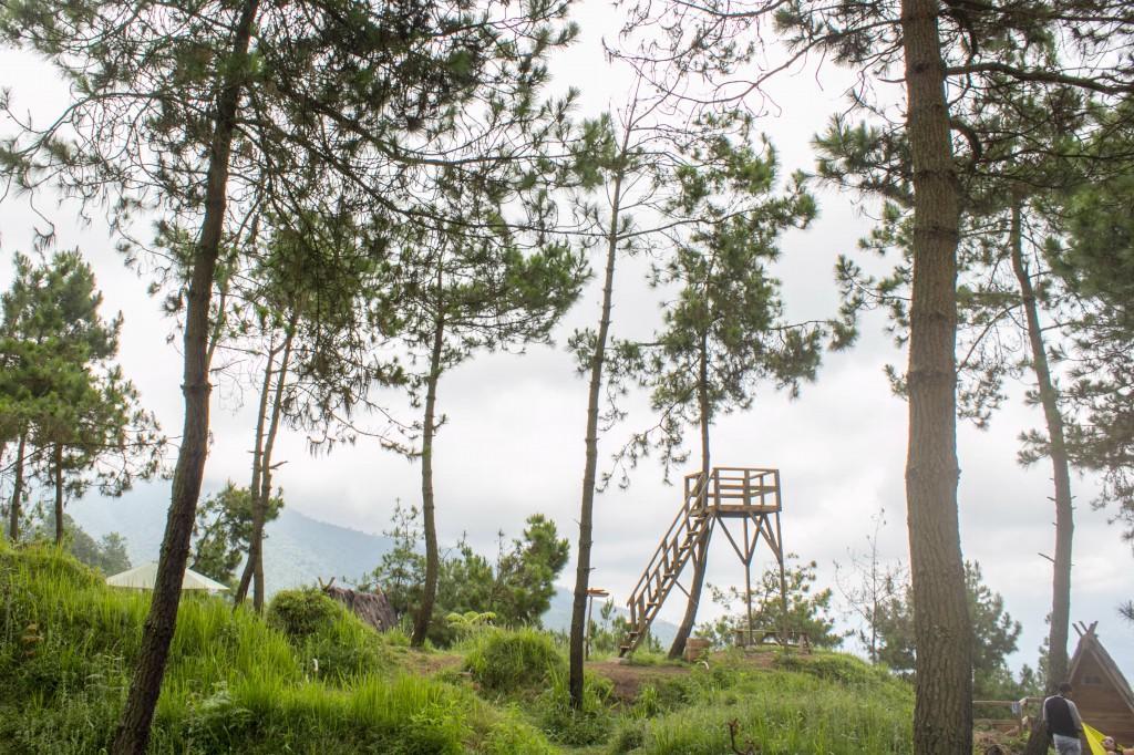 Cileuleuy Papandayan Camping Ground酒店 外观 照片
