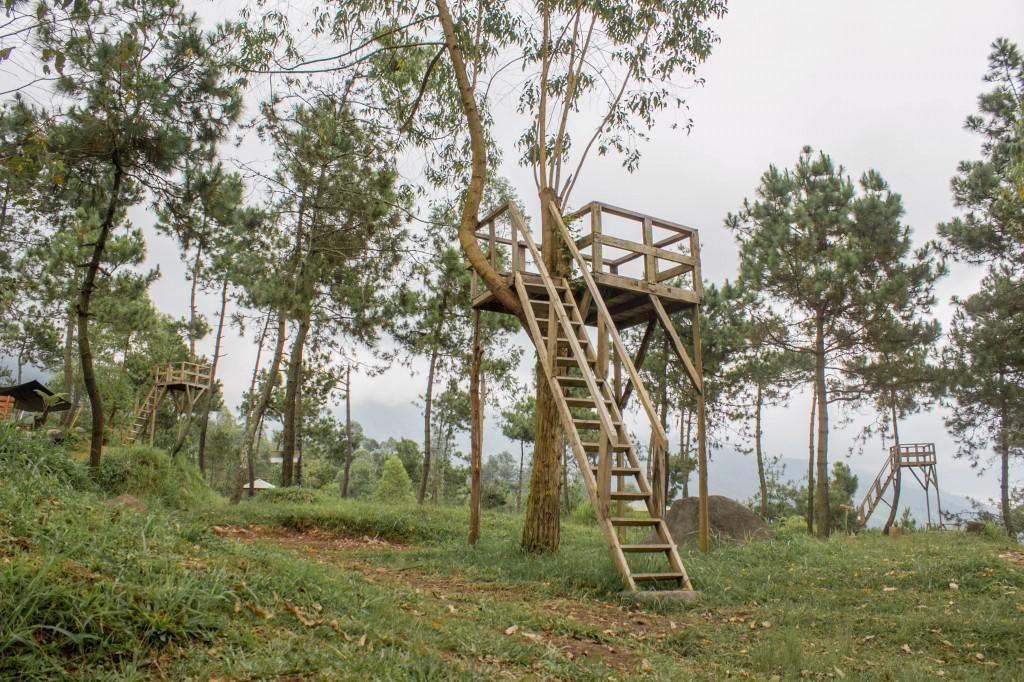 Cileuleuy Papandayan Camping Ground酒店 外观 照片