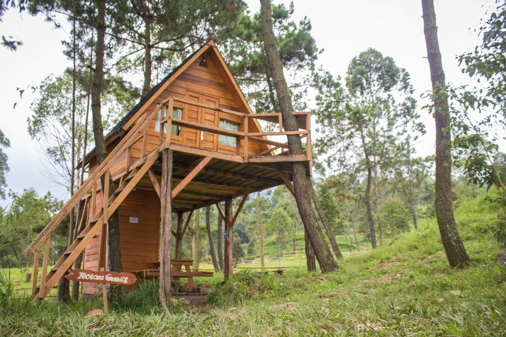 Cileuleuy Papandayan Camping Ground酒店 外观 照片