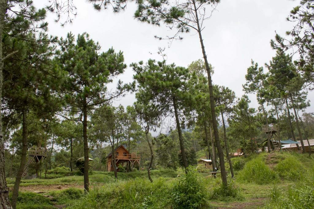 Cileuleuy Papandayan Camping Ground酒店 外观 照片
