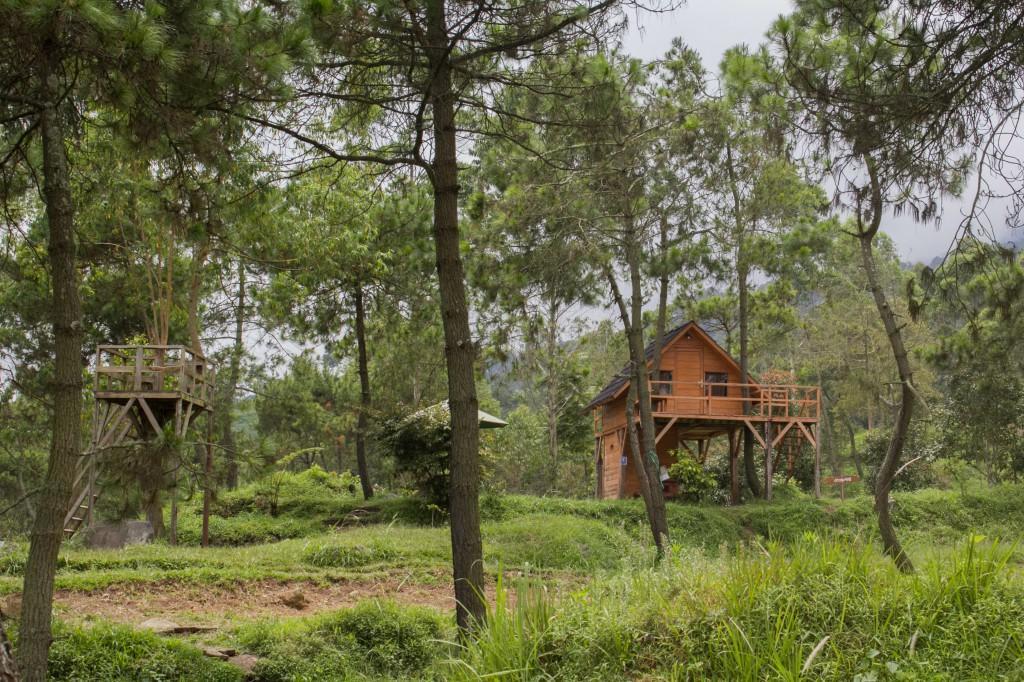 Cileuleuy Papandayan Camping Ground酒店 外观 照片