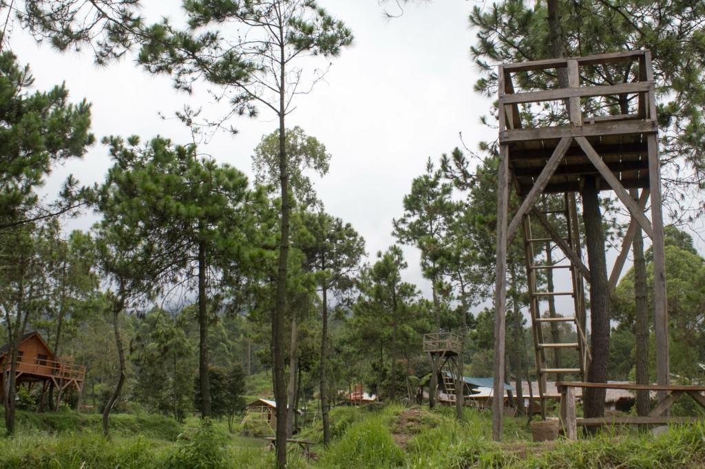 Cileuleuy Papandayan Camping Ground酒店 外观 照片