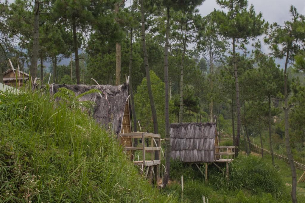 Cileuleuy Papandayan Camping Ground酒店 外观 照片