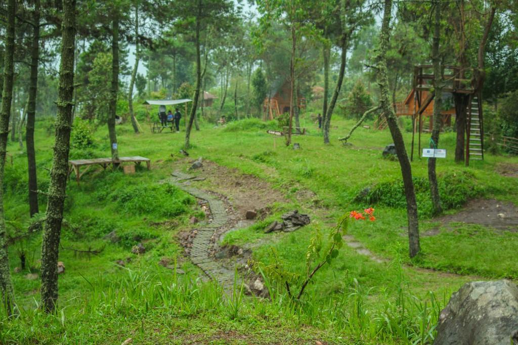 Cileuleuy Papandayan Camping Ground酒店 外观 照片
